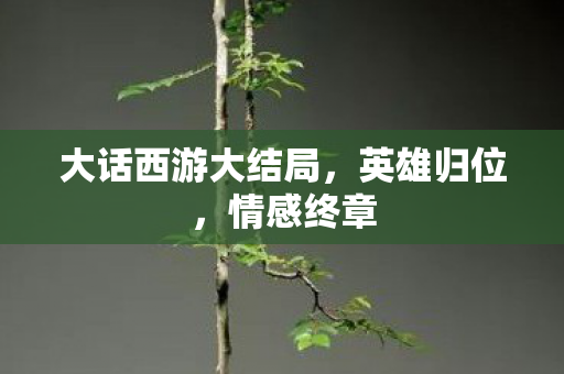 大话西游大结局图片