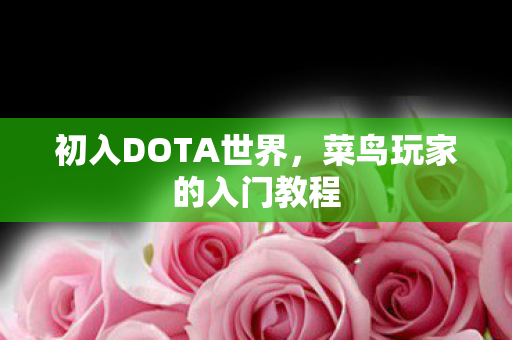 菜鸟玩家的入门教程图片