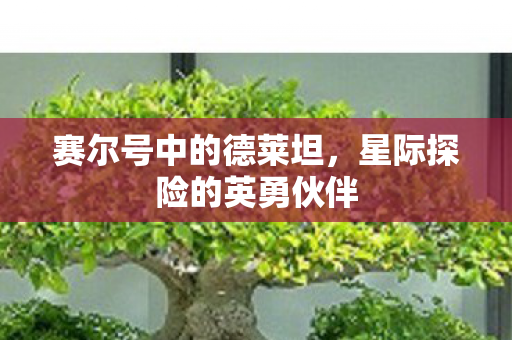 星际探险的英勇伙伴图片