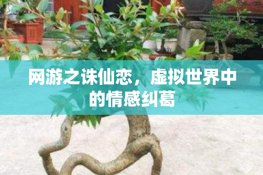 虚拟世界中的情感纠葛图片
