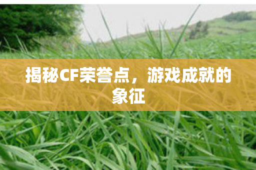 揭秘CF荣誉点图片