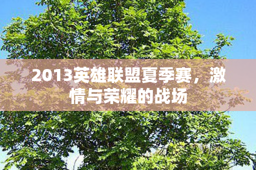 2013英雄联盟夏季赛图片