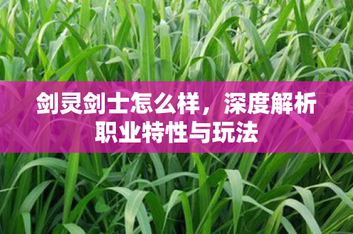 深度解析职业特性与玩法图片