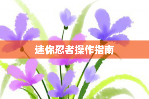 迷你忍者操作指南图片