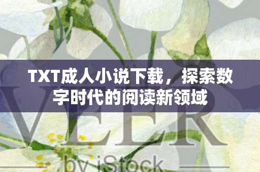 探索数字时代的阅读新领域图片