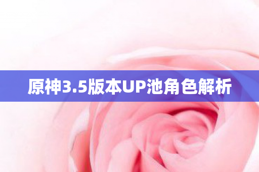 5版本UP池角色解析图片