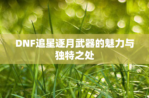 DNF追星逐月武器的魅力与独特之处图片