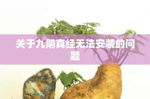 关于九阴真经无法安装的问题图片