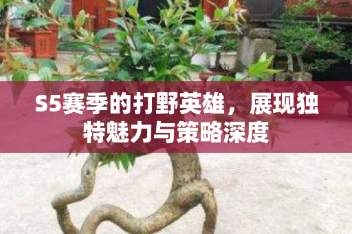 展现独特魅力与策略深度图片