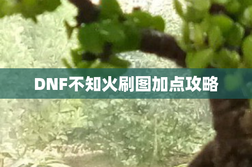 DNF不知火刷图加点攻略图片