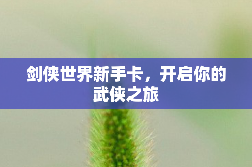 开启你的武侠之旅图片