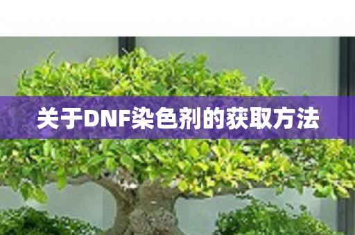 关于DNF染色剂的获取方法图片