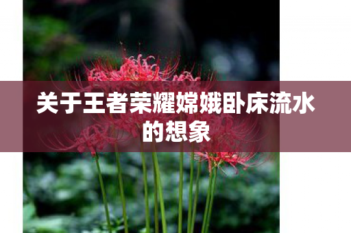关于王者荣耀嫦娥卧床流水的想象图片