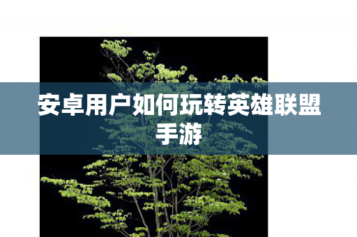 安卓用户如何玩转英雄联盟手游图片