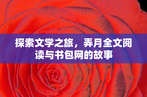 弄月全文阅读与书包网的故事图片