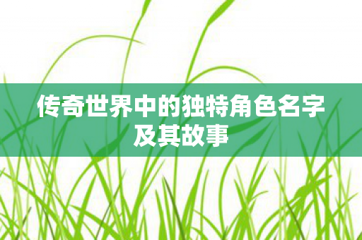 传奇世界中的独特角色名字及其故事图片