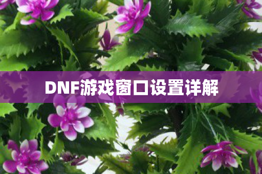 DNF游戏窗口设置详解图片