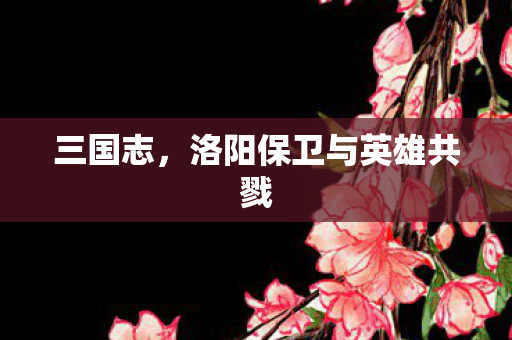 洛阳保卫与英雄共戮图片