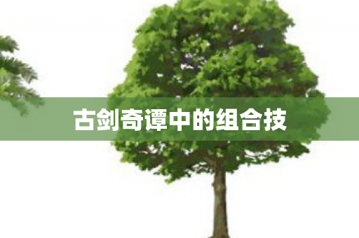 古剑奇谭中的组合技图片