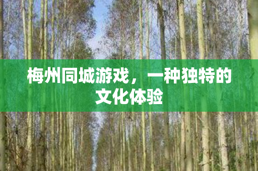 一种独特的文化体验图片