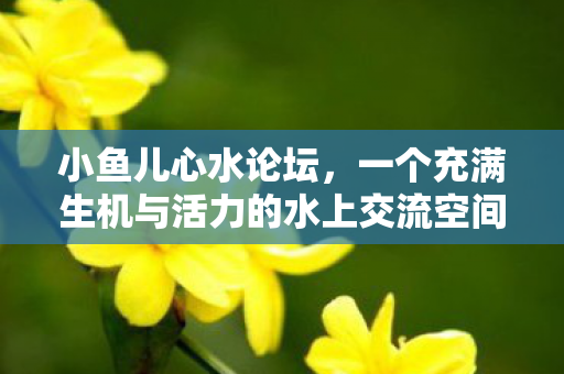 一个充满生机与活力的水上交流空间图片