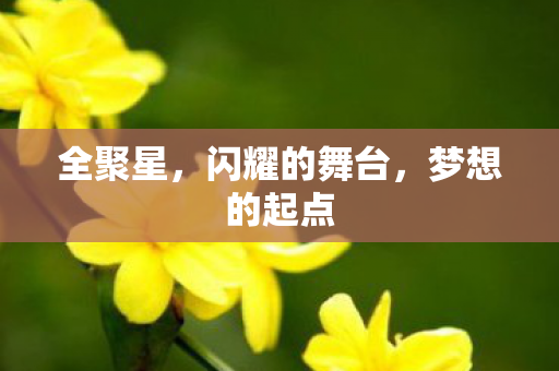 闪耀的舞台图片