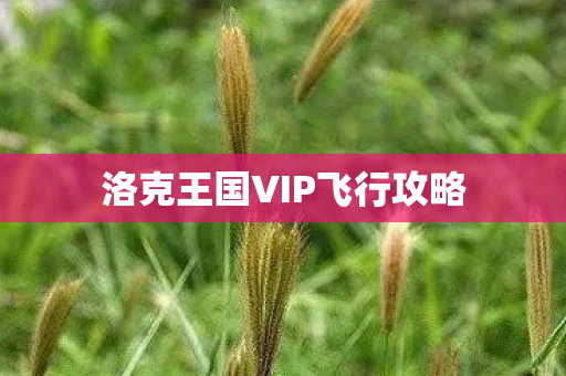 洛克王国VIP飞行攻略图片