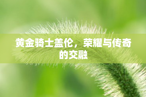 荣耀与传奇的交融图片