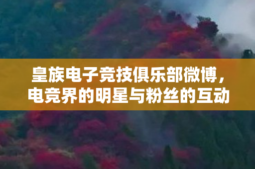 电竞界的明星与粉丝的互动舞台图片