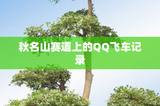 秋名山赛道上的QQ飞车记录图片