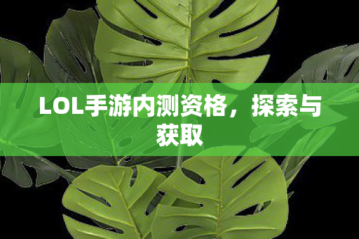 LOL手游内测资格图片