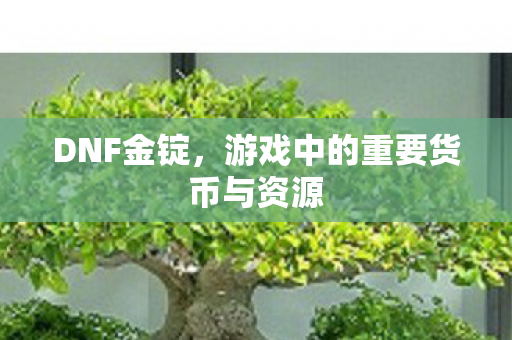 游戏中的重要货币与资源图片