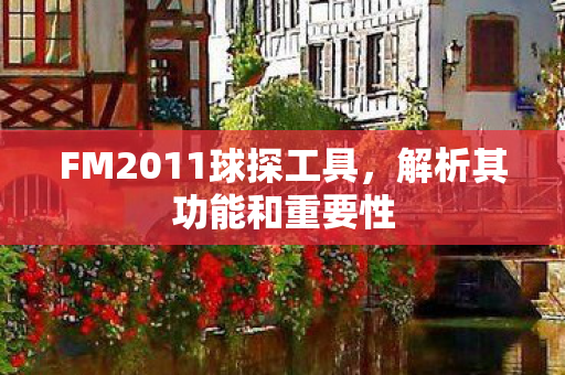 FM2011球探工具图片