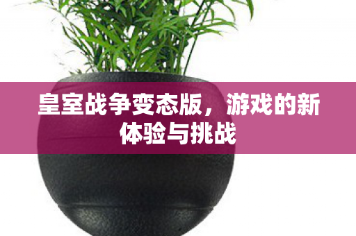 游戏的新体验与挑战图片