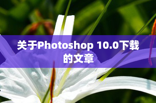 关于Photoshop 10图片