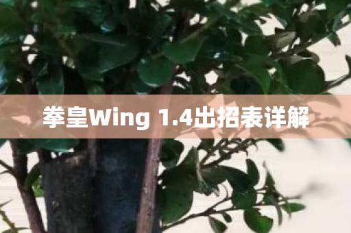 拳皇Wing 1图片