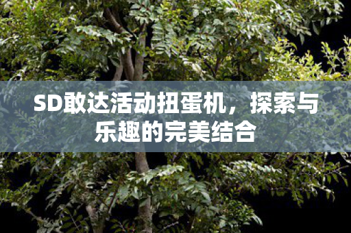 探索与乐趣的完美结合图片