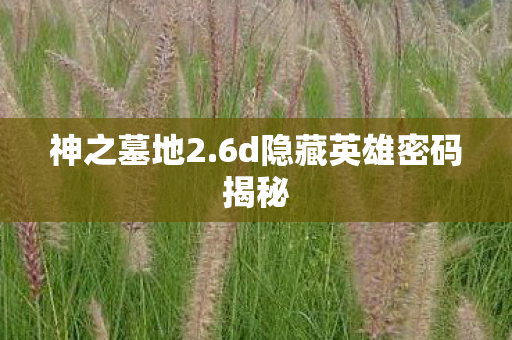 6d隐藏英雄密码揭秘图片