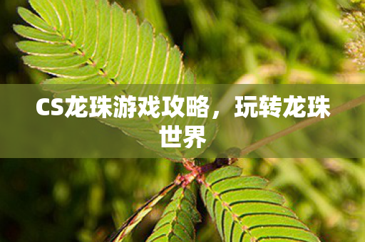 CS龙珠游戏攻略图片
