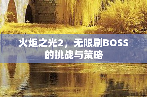 无限刷BOSS的挑战与策略图片