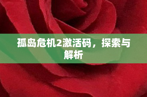 孤岛危机2激活码图片