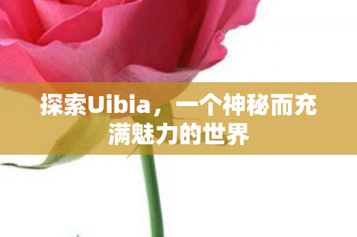 一个神秘而充满魅力的世界图片