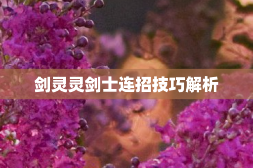 剑灵灵剑士连招技巧解析图片