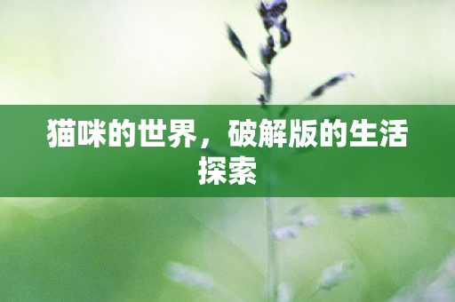 破解版的生活探索图片
