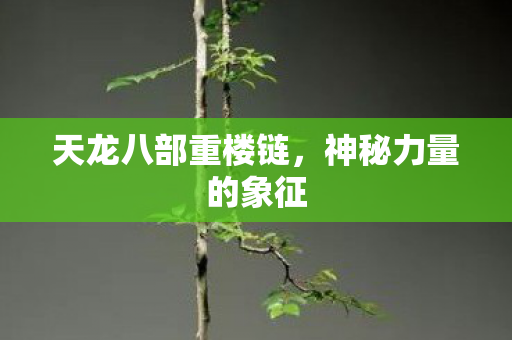 天龙八部重楼链图片