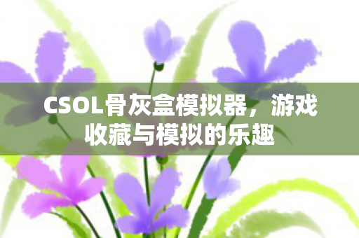 CSOL骨灰盒模拟器图片