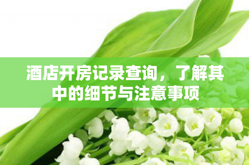 了解其中的细节与注意事项图片