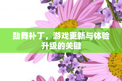 游戏更新与体验升级的关键图片