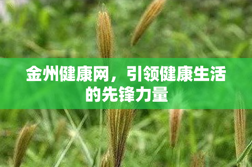 引领健康生活的先锋力量图片