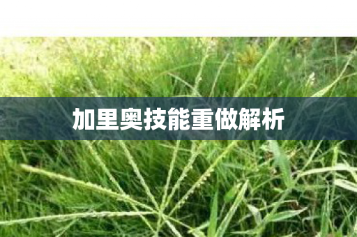 加里奥技能重做解析图片